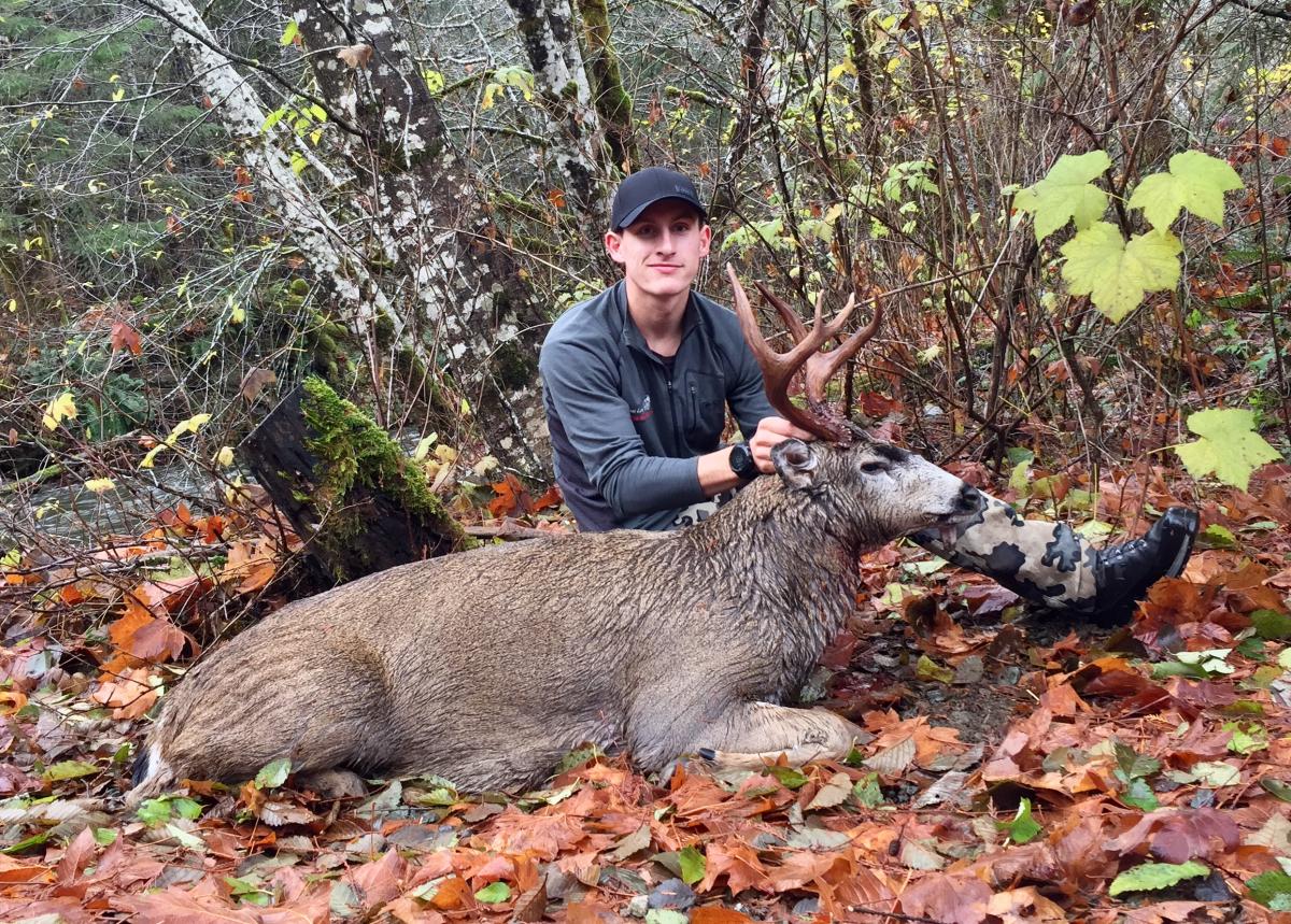 Vancouver Island Blacktail Deer Canadian Guide Outfitters